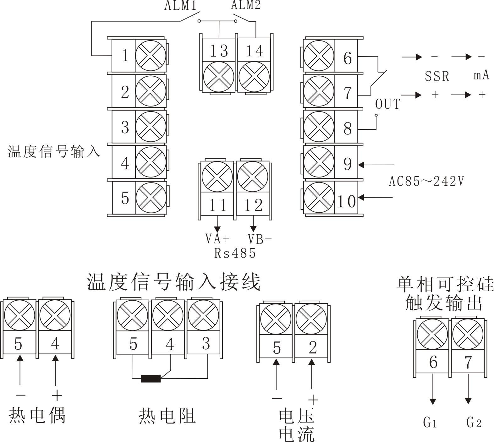 XMTG-808.jpg